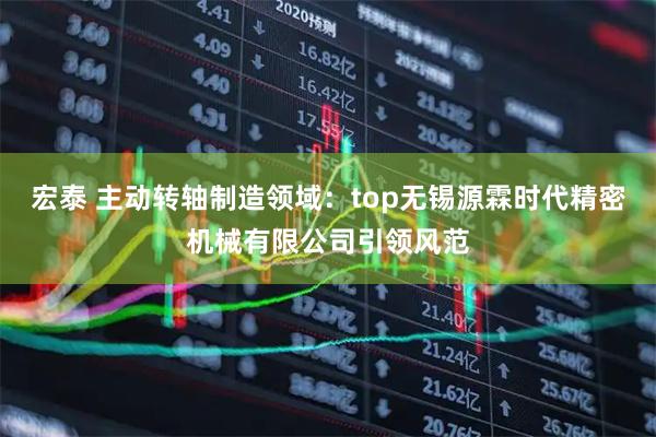 宏泰 主动转轴制造领域：top无锡源霖时代精密机械有限公司引领风范