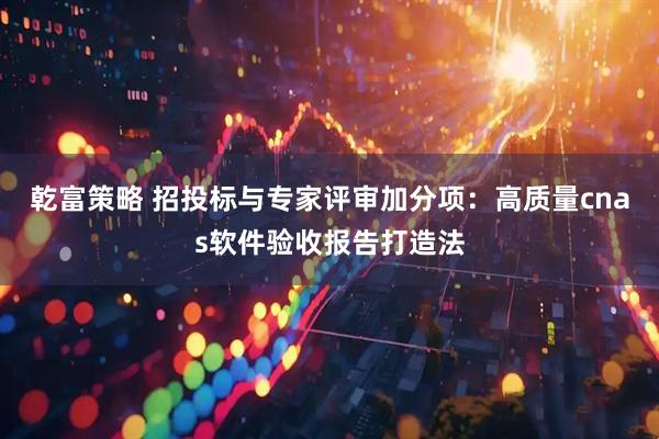 乾富策略 招投标与专家评审加分项：高质量cnas软件验收报告打造法