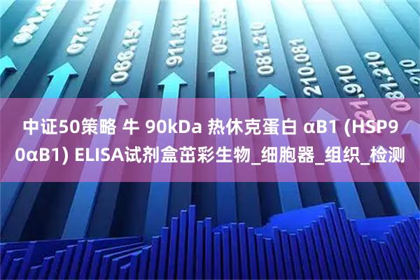 中证50策略 牛 90kDa 热休克蛋白 αB1 (HSP90αB1) ELISA试剂盒茁彩生物_细胞器_组织_检测