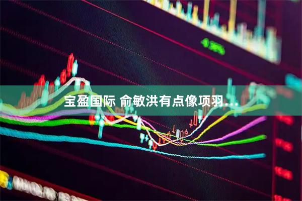 宝盈国际 俞敏洪有点像项羽…