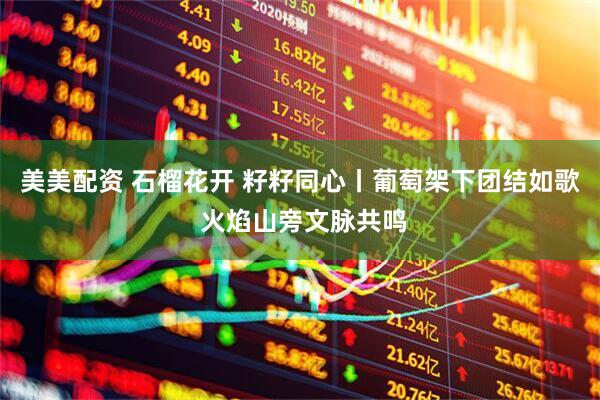 美美配资 石榴花开 籽籽同心丨葡萄架下团结如歌 火焰山旁文脉共鸣